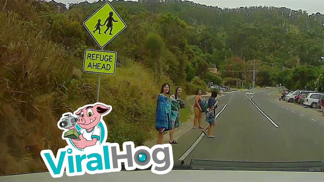 Nije provjerila desnu stranu puta i gotovo se pozdravila sa životom 