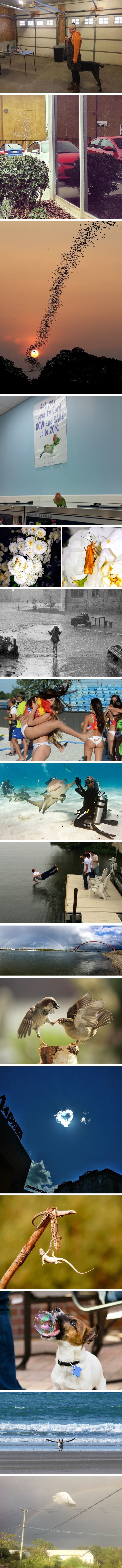 Nova doza fotki snimljenih u savršenom trenu razvedrit će vas i uljepšati vam dan