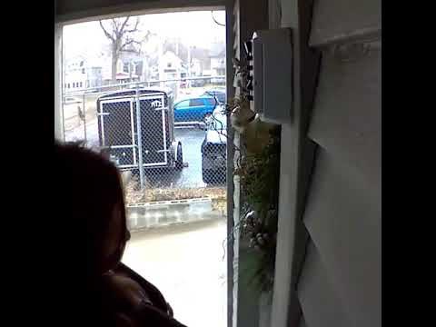 Krenula uzbrdo, no led ju je oborio i poslao u drugom smjeru 