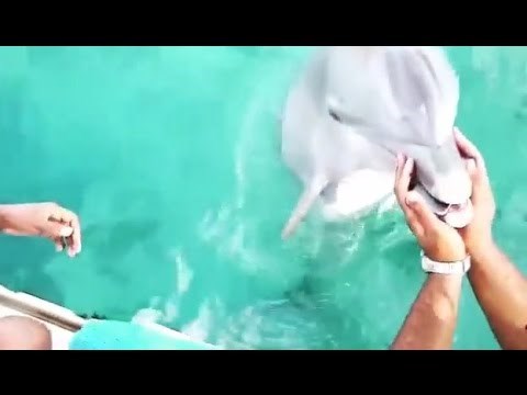 VIDEO Upao joj telefon u more, a onda se dogodilo čudo 