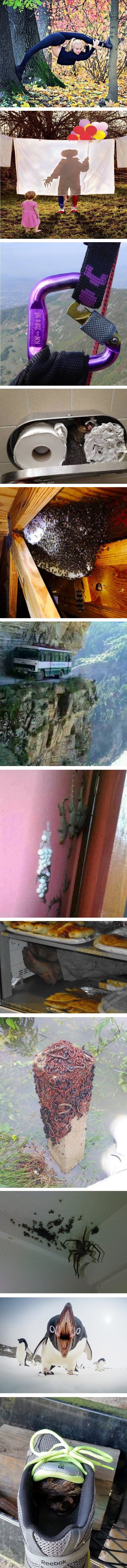 Jezivi prizori koji će vas razbuditi bolje od bilo koje kave