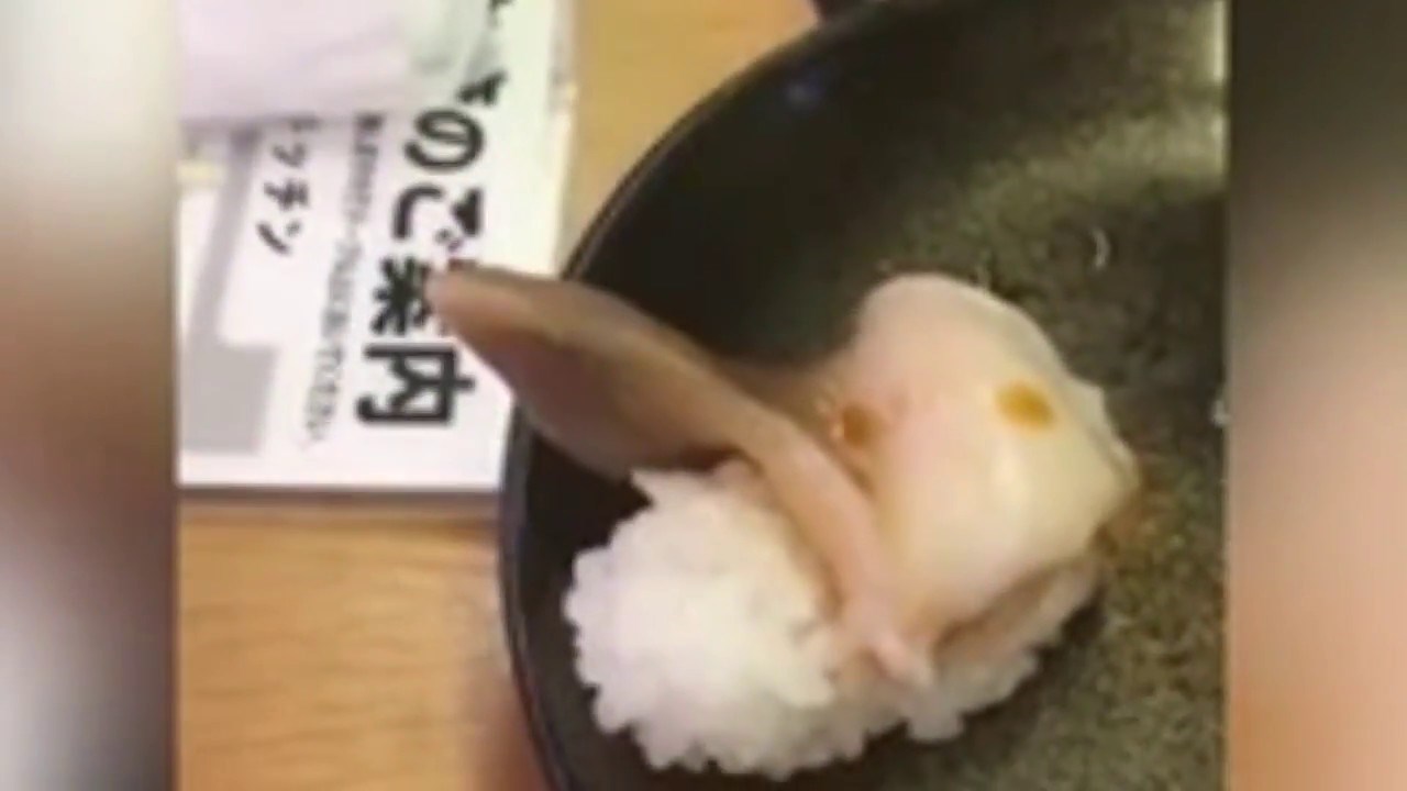 Naručio je Sushi koji je pokušao pobjeći s njegovog tanjura