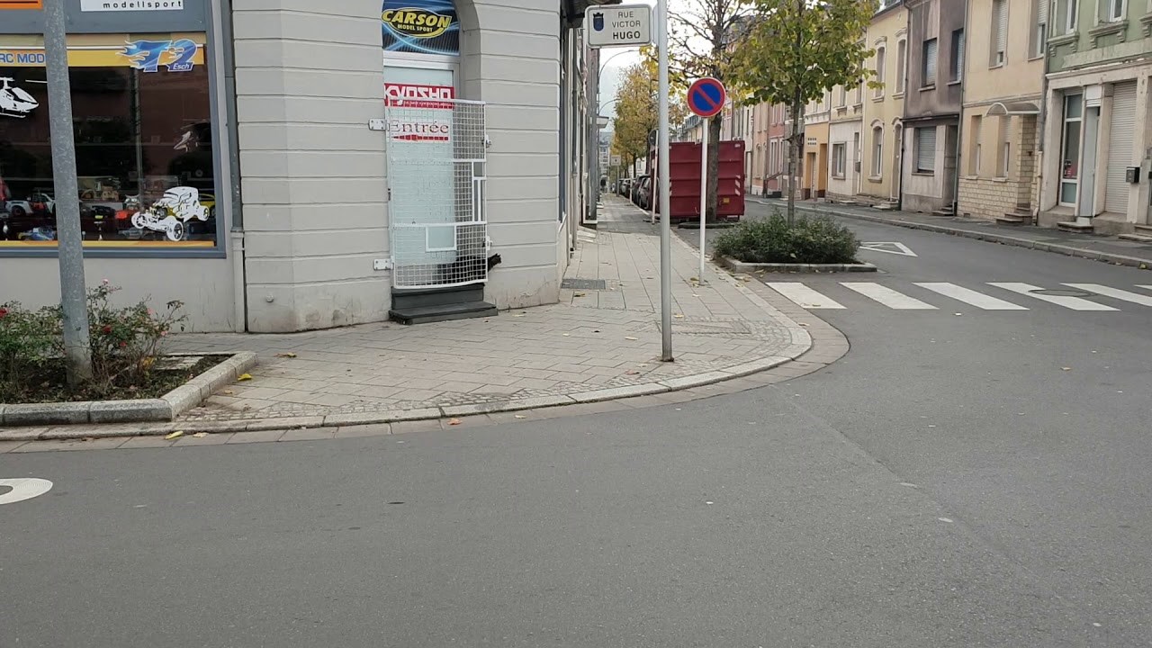 Mačka potrčala za štakorom i napala ga, a onda se dogodila scena iz filmova