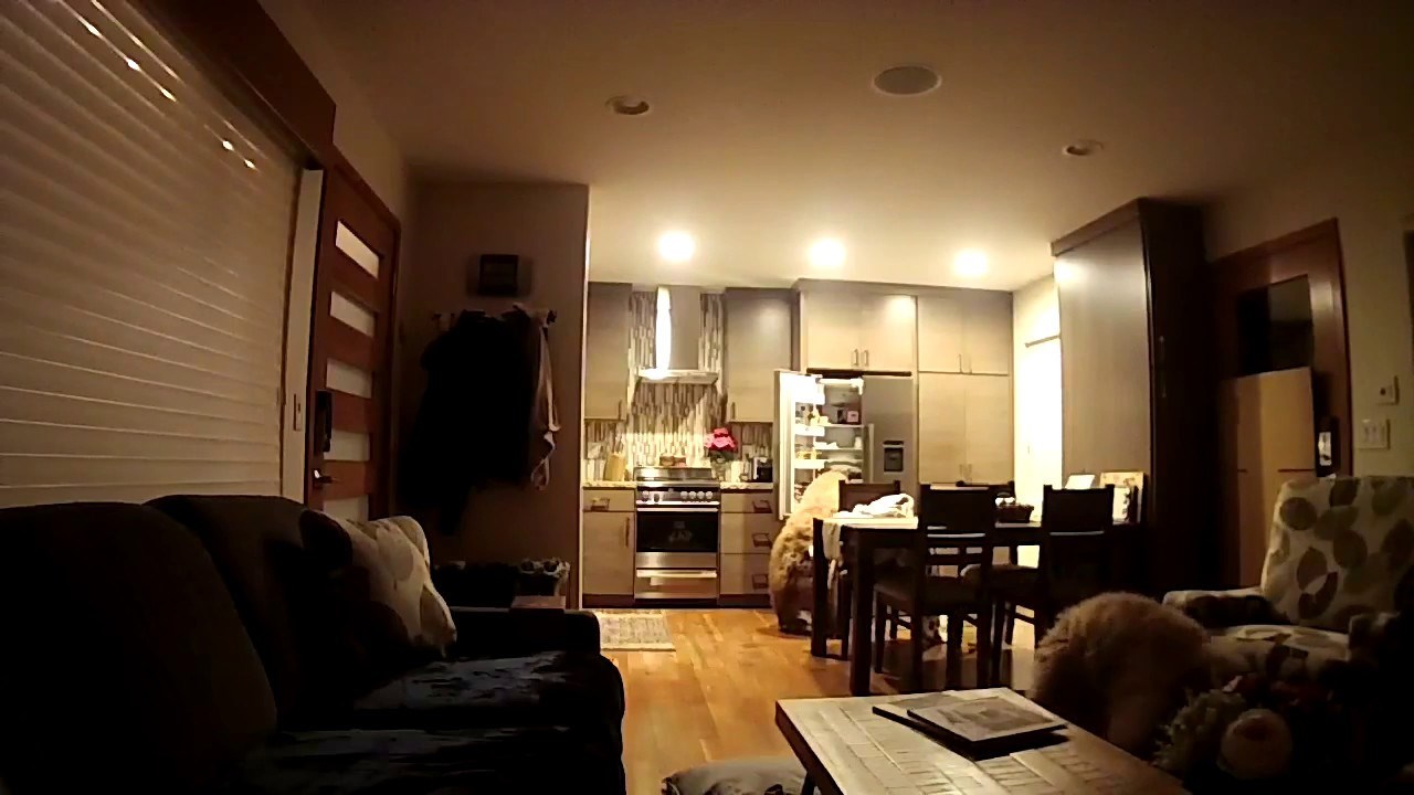 Lik postavio nadzornu kameru, a ovakve provalnike nije ni sanjao 