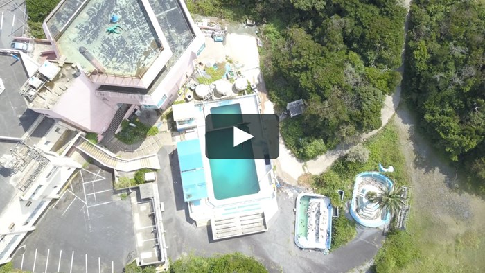 VIDEO Dupin ostavljen u napuštenom akvariju u Japanu slomit će vaše srce