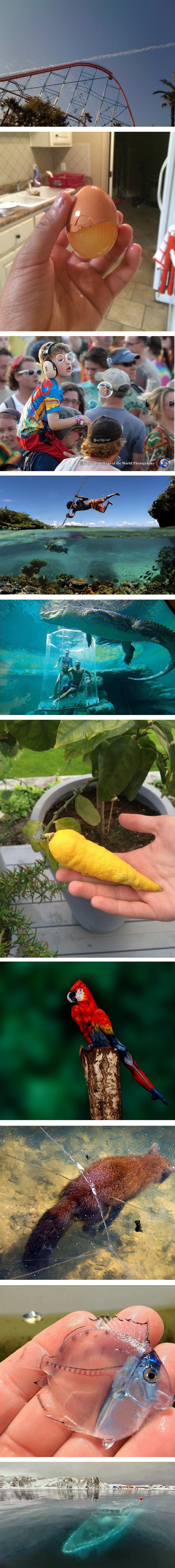 Deset zadivljujućih i čudesnih prizora koji su morali biti snimljeni 