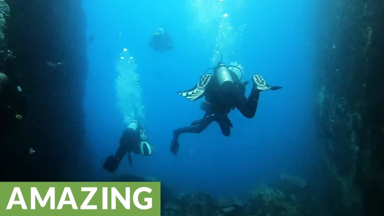 Čarobni podvodni svijet otočja Galapagos ostavit će vas bez daha