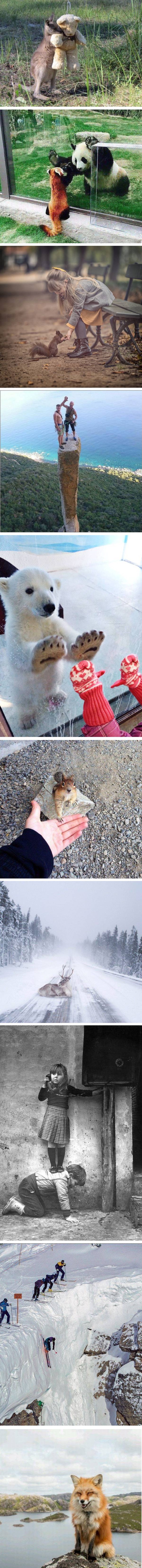 Galerija fotografija koja će vas oduševiti i uljepšati vam dan