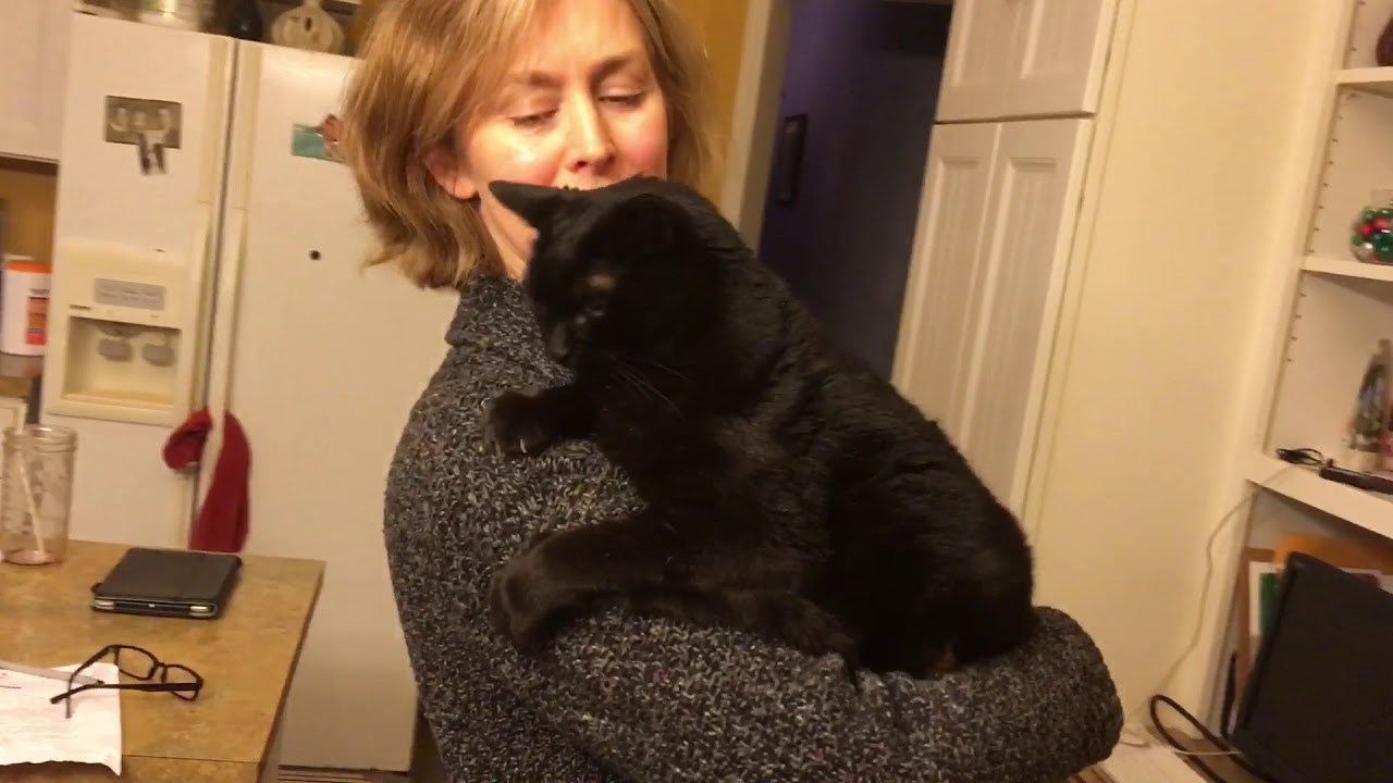 Ova maca ima smiješnu reakciju kada je vlasnica češe po leđima