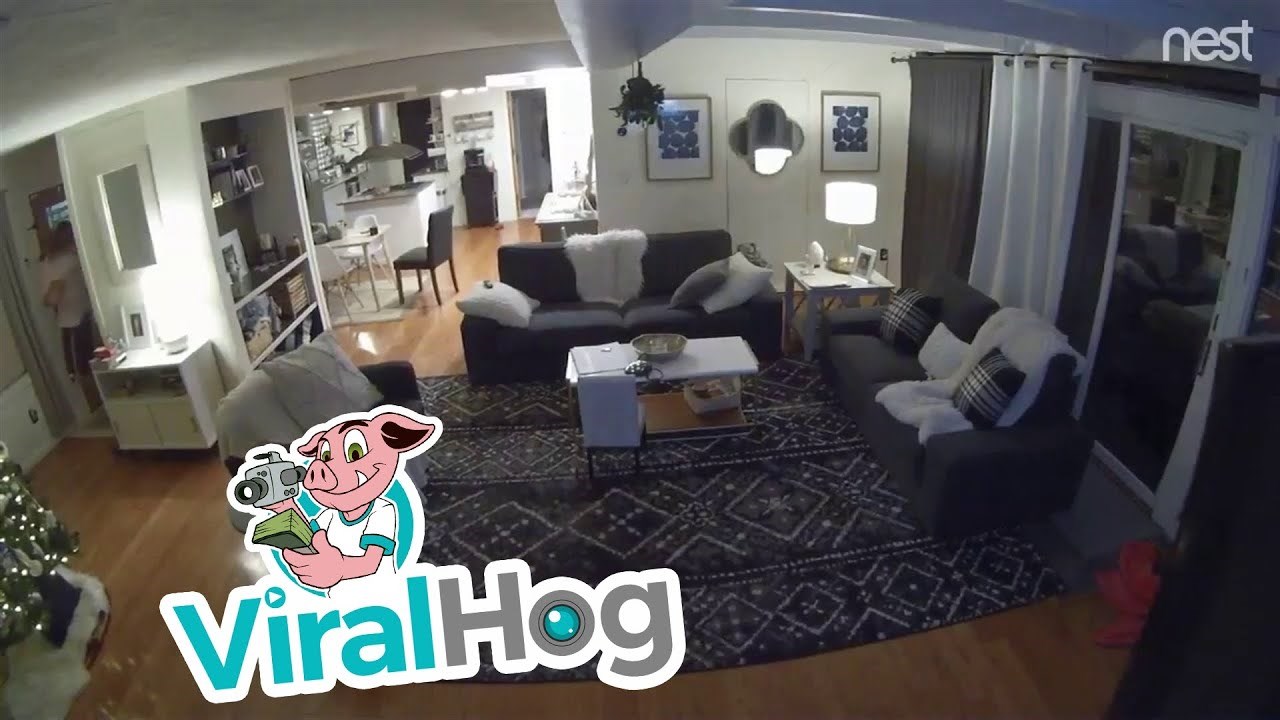 Preplašena obitelj istrčala iz svog doma na Aljasci usred potresa koji je rušio sve pred sobom