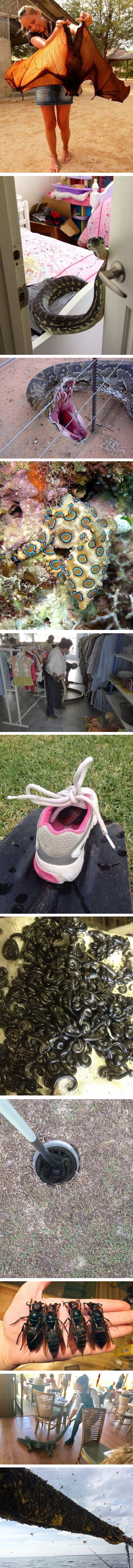 Ova strašna čuda našeg planeta ostavit će vas bez teksta