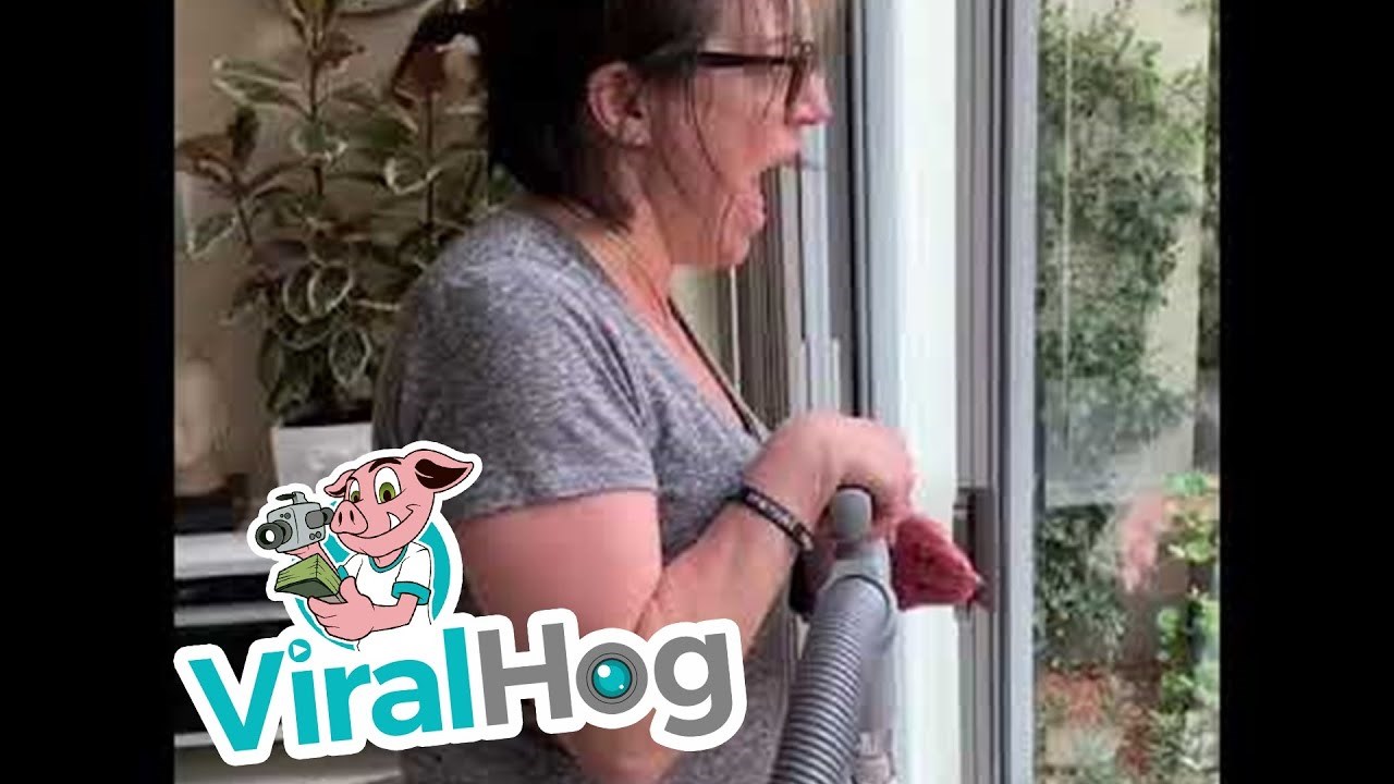 Sin neprestano strašio mamu iz zasjede pa su postali hit na internetu 