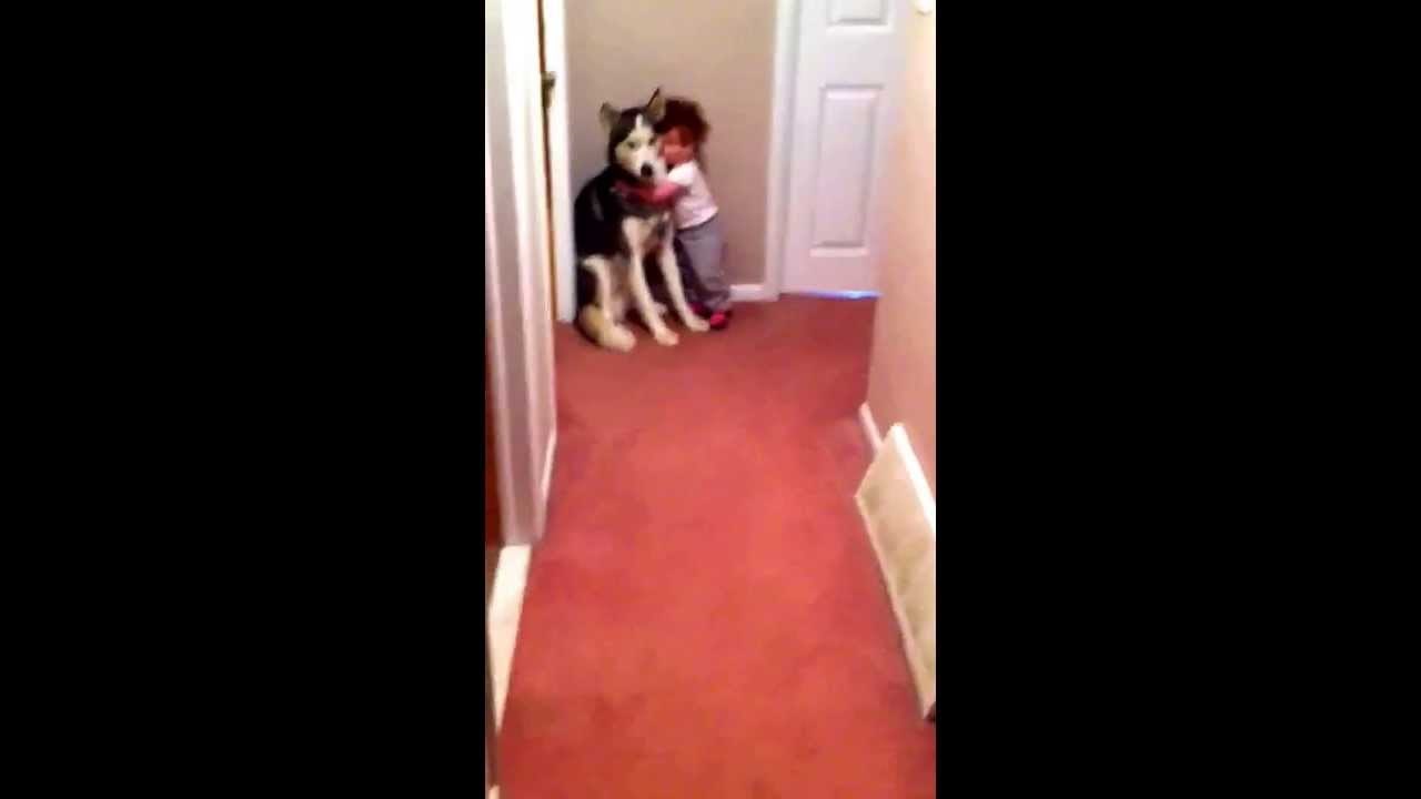 Djevojčica se uplašila usisivača pa zatražila najslađu zaštitu na svijetu 