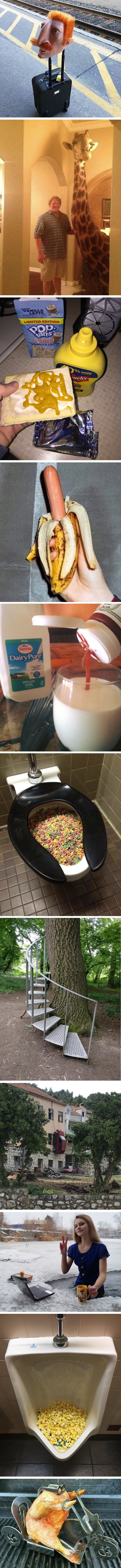 Galerija čudnih i neobjašnjivih fotografija zbunit će vas i nasmijati 