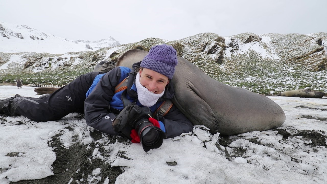 Opasnosti fotografiranja: Ženu opkolili tuljani teški nekoliko stotina kilograma