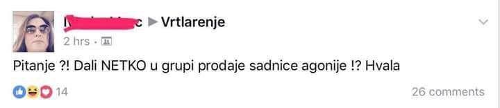 Trebaju joj sadnice za biljku koja u Hrvatskoj raste na svakom koraku