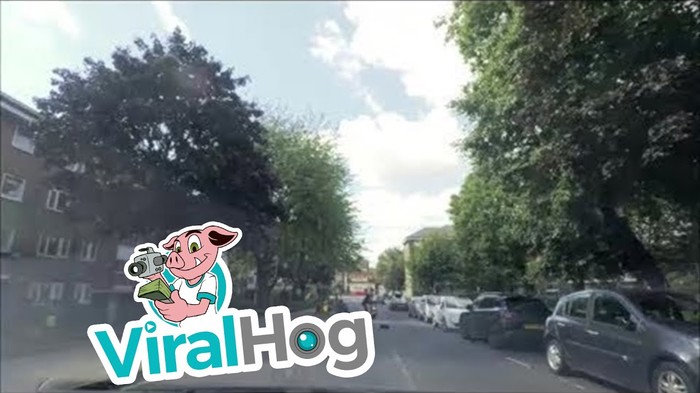 Projurili su kraj žene i ukrali joj torbicu, no za par metara stigla ih je karma
