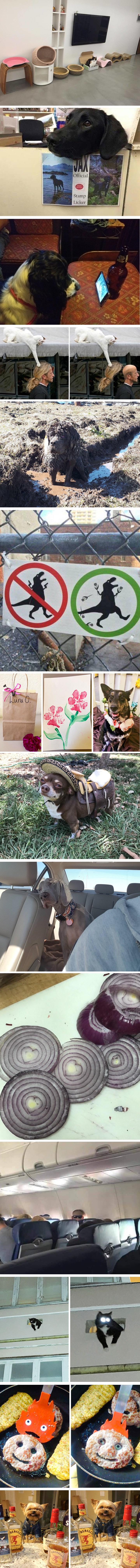 Ustali ste mrzovoljni? Ova galerija će popraviti vaše raspoloženje!