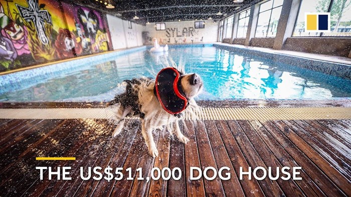 Izgradio je 500 000 dolara vrijedno imanje za svog psa, a razlog tomu je divan