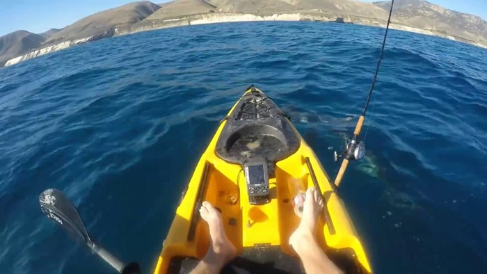 Napao ga morski pas: Evo zbog čega više nikada neće pecati iz kajaka
