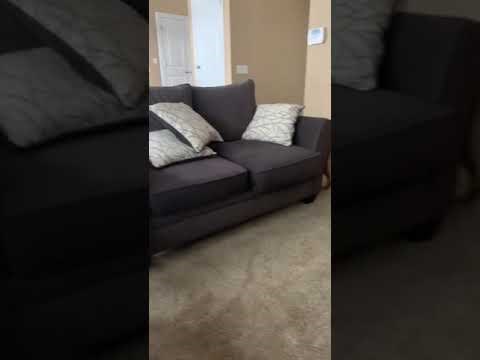 VIDEO Psa slučajno istrenirali da ide spavati kada se gasi Xbox