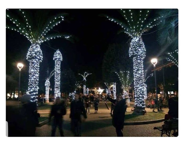 Evo što se dogodi kada okitite palme za Božić