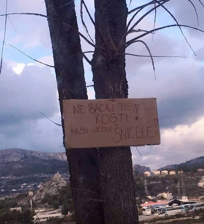 Psima bacali kosti pa je jedan čovjek progovorio u ime svih gladnih pasa