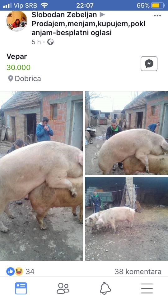 Urnebesna fotografija ovog oglasa izazvala je brojne komentare