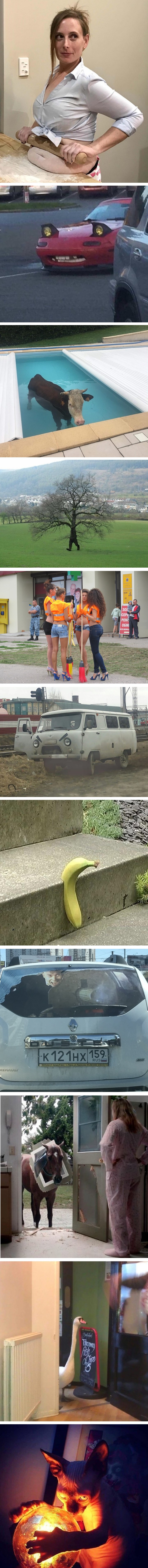 Galerija čudnih fotografija koje je baš teško objasniti 