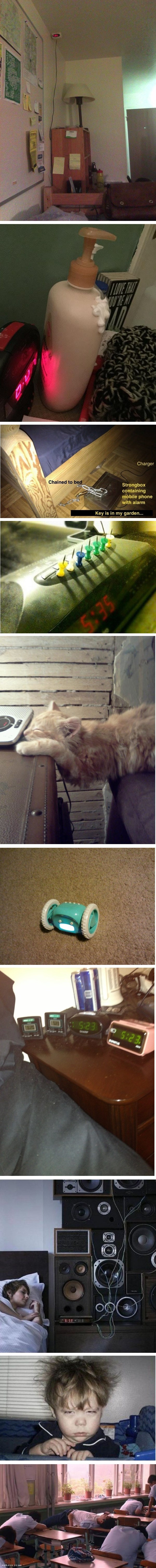 Sve velike spavalice pronaći će se na ovim uspavanim fotografijama