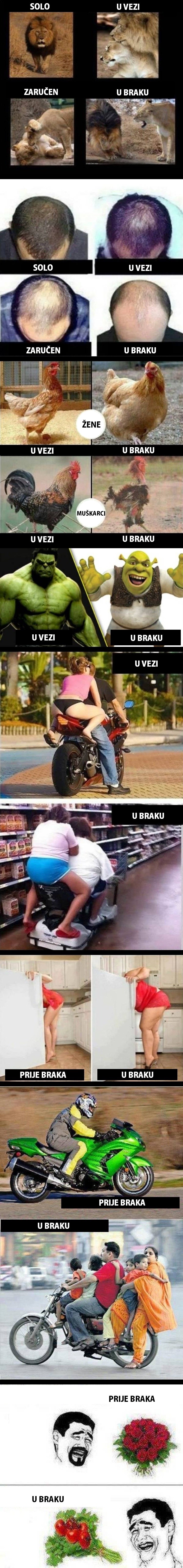 Ove urnebesne fotke otkrivaju što se zapravo dogodi kada uđete u brak 