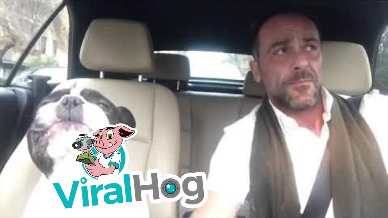 Najslađi duet: Vlasnik i pas pjevaju pop pjesmu, njihova je verzija najbolja 