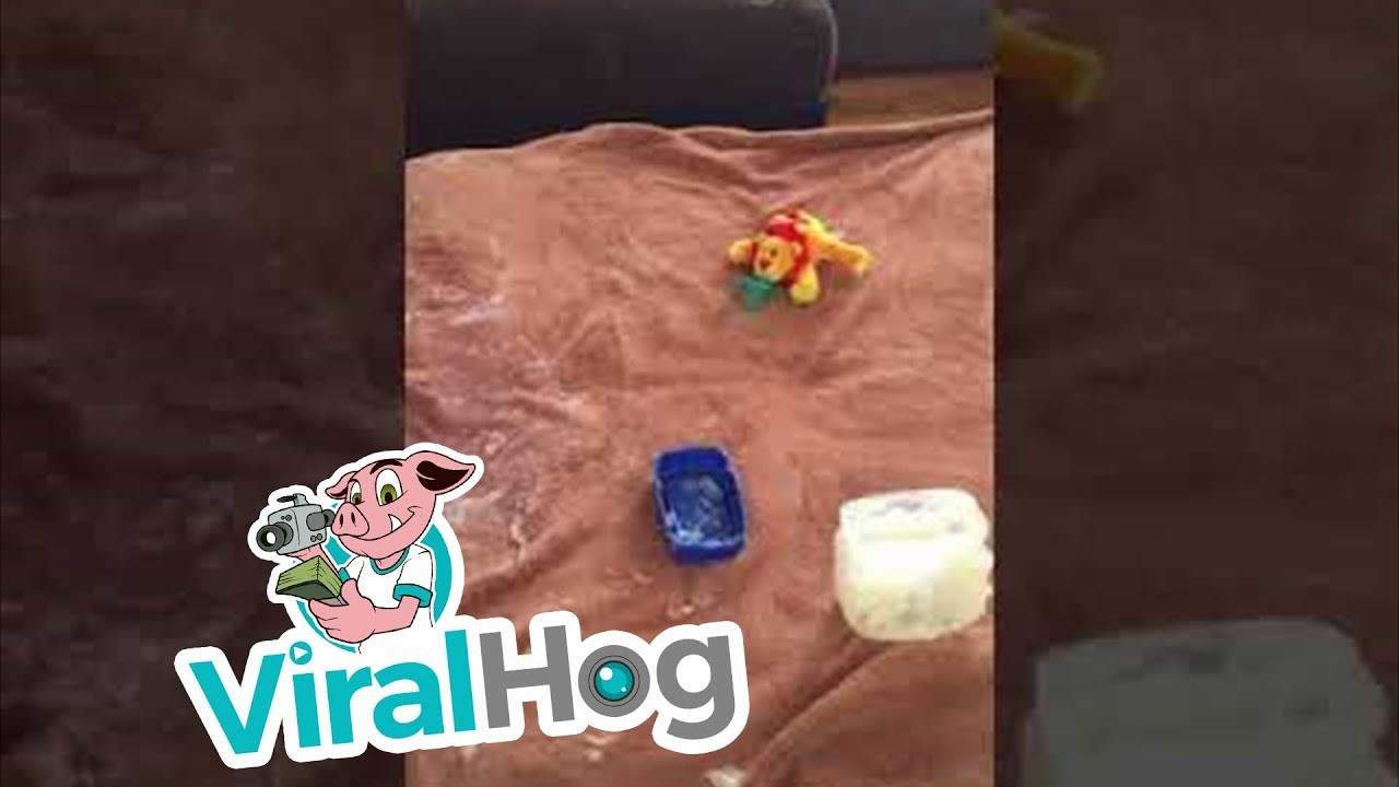 VIDEO Kada majka nestane na nekoliko minuta, dijete napravi urnebes 