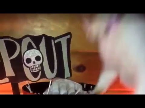 VIDEO Maca je gurala njušku tamo gdje joj nije mjesto pa dobila po repu