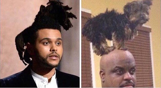 Mnogi ljudi ne vide razliku, što vi kažete?