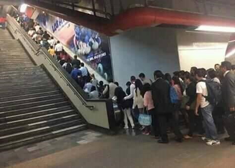 Nevjerojatan prizor! Ovo je dokaz da su ljudi nevjerojatno lijena vrsta!