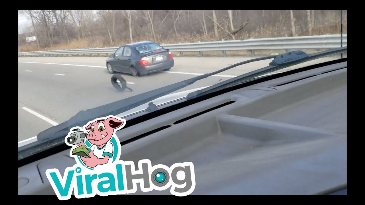 Na autocesti snimio scenu iz filmova, drugom vozaču otpala guma