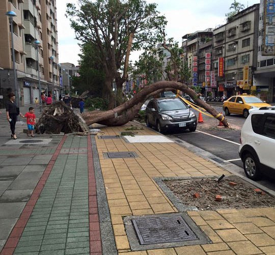 Ovako to izgleda kada imaš najviše sreće na svijetu 
