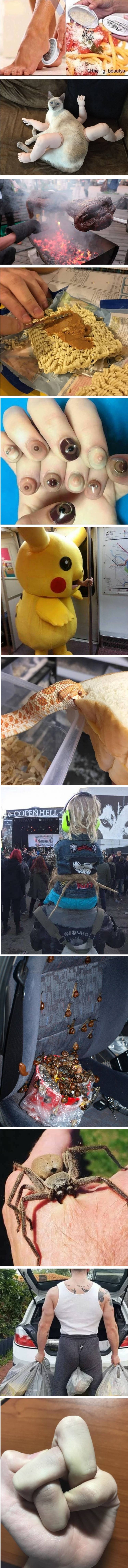 Top 12 najčudnijih fotografija koje danima nećete moći izbaciti iz glave