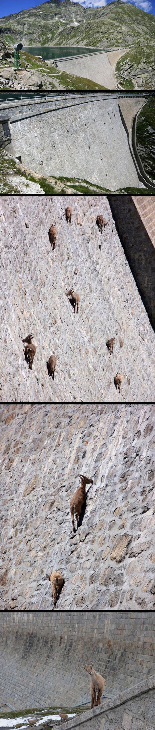 Neke su stvari jednostavno neobjašnjive, a ovo je jedna od njih