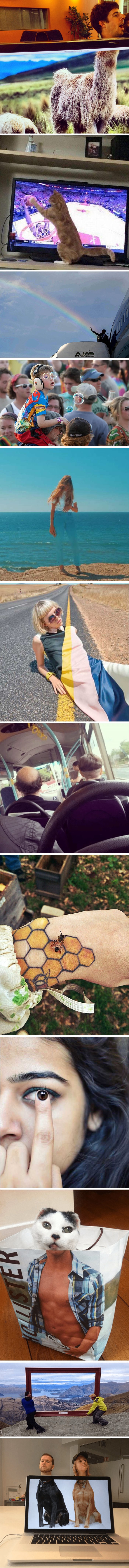 Bili namješteni ili sasvim slučajni, ovi prizori izgledaju genijalno 