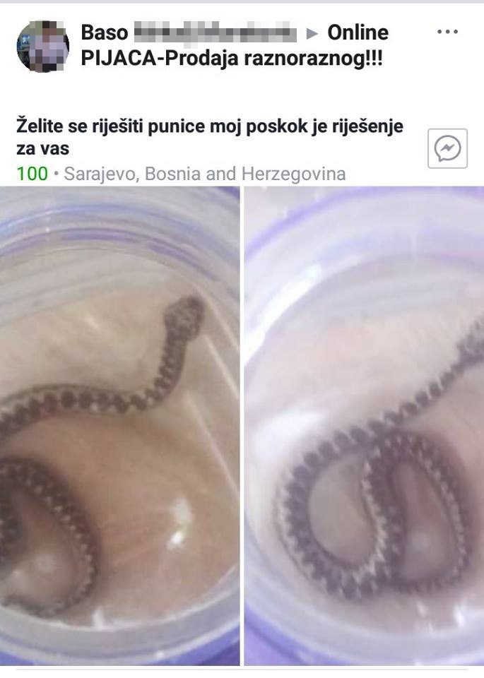 Čovjek je pronašao način na koji se možete riješiti punice i podijelio to s ostatkom svijeta