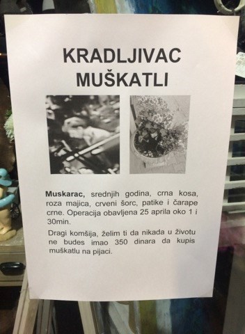 Ukrao je cvijet ispred trgovine u kvartu pa su mu ostavili ovu poruku 