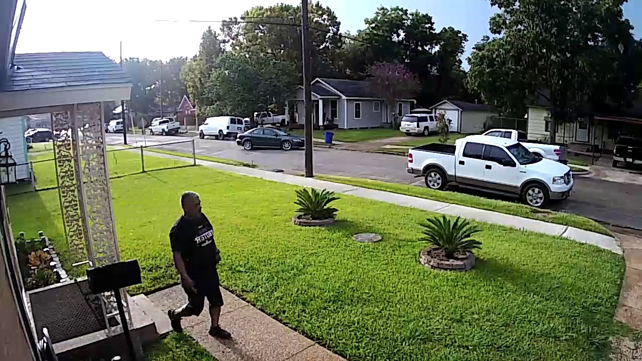 VIDEO Napali ga psi, a on se uspio spasiti na sjajan način