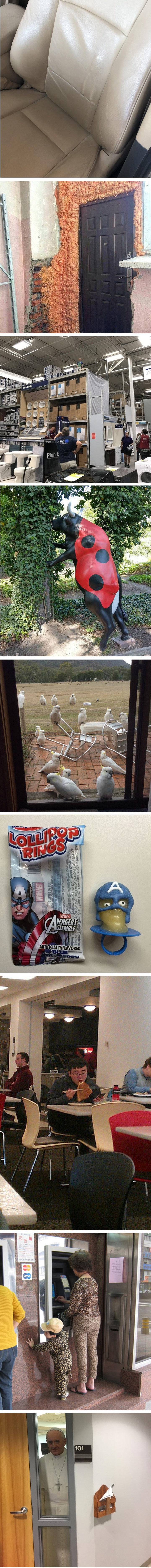 Galerija fotografija koje će vas zbuniti i začuditi 