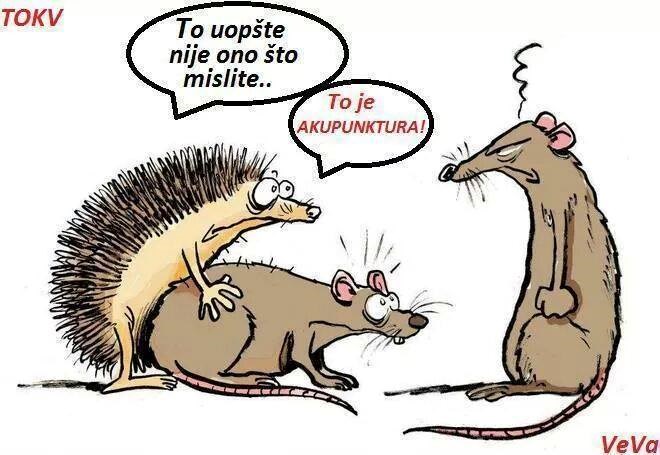 Ovo je samo akupnuktura, ništa više