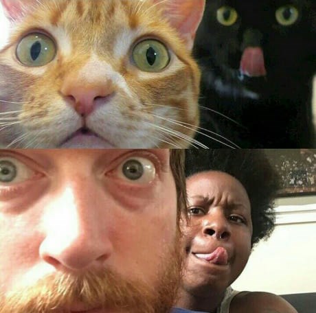 Svaka sličnost je slučajna  