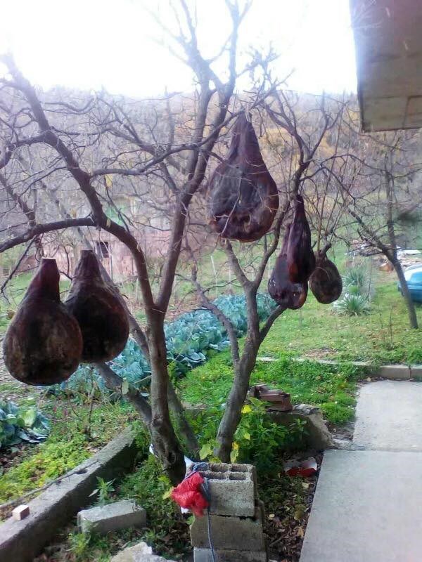 Ovo je jedno jako privlačno i fino dekorirano drvo