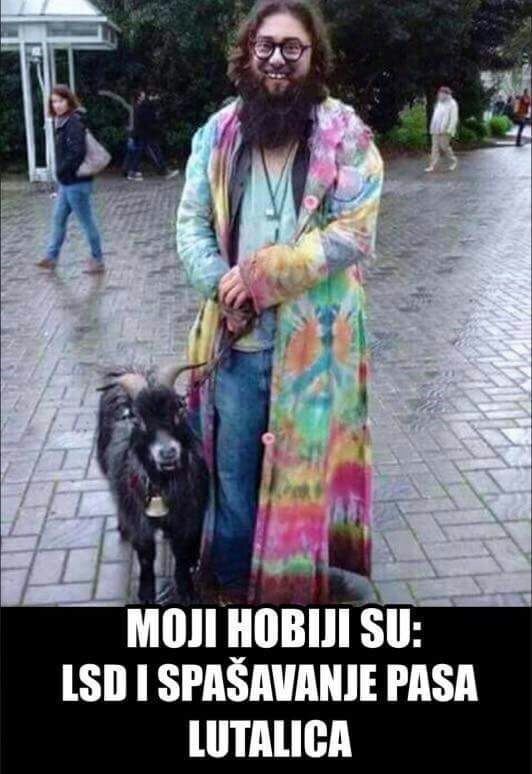 Svatko ima svoju zanimaciju 