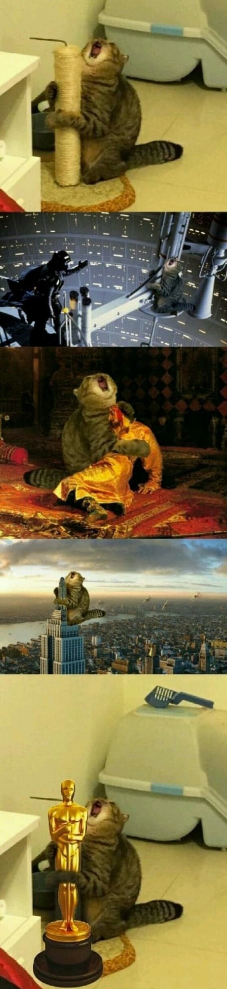 Kad si kreativan nisi svoj 